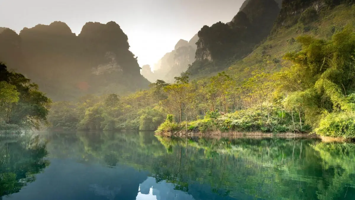 高性能高标准绿色